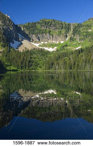 Reflection of a mountain in water, Mission Mountains, Upper Cold Lake, Flathead National Forest, Montana, USA View Large Photo Image Stock Photo - Reflection of a mountain in water, Mission Mountains, Upper Cold Lake, Flathead National Forest, Montana, USA. Fotosearch