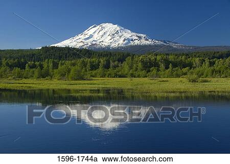 Reflection of a snowcapped mountain in water, Mt Adams, Trout Lake Natural Area Preserve, Washington State, USA View Large Photo Image Stock Image - Reflection of a snowcapped mountain in water, Mt Adams, Trout Lake Natural Area Preserve, Washington State, USA. Fotosearch