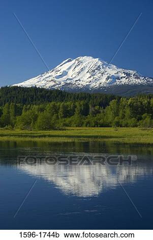 Stock Image - Reflection of a snowcapped mountain in water, Mt Adams, Trout Lake Natural Area Preserve, Washington State, USA. Fotosearch