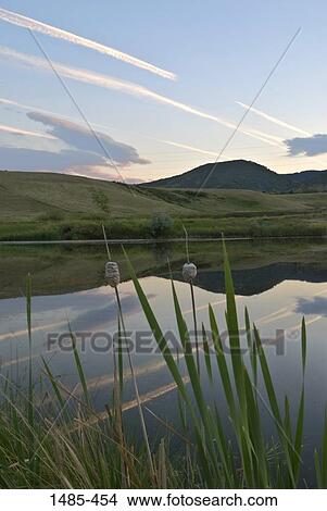 Reflection of rocket smoke in water, Rocky Flats Plant, Denver, Denver County, Colorado, USA View Large Photo Image Picture - Reflection of rocket smoke in water, Rocky Flats Plant, Denver, Denver County, Colorado, USA. Fotosearch