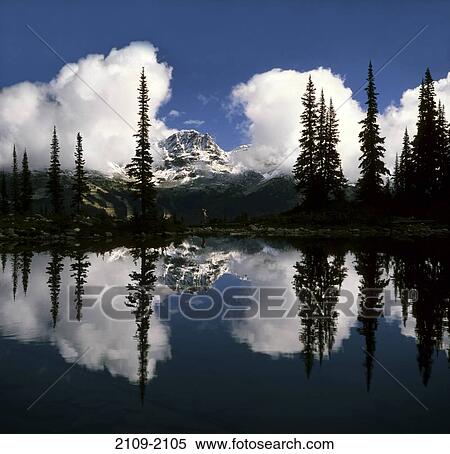 Stock Photography - Reflection of trees and a mountain in a lake, Harmony Lake, Blackcomb Mountain, Whistler Mountain, British Columbia, Canada. Fotosearch