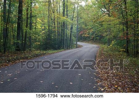 Road passing through a forest, Red River Gorge Geological Area, Daniel Boone National Forest, Kentucky, USA View Large Photo Image Picture - Road passing through a forest, Red River Gorge Geological Area, Daniel Boone National Forest, Kentucky, USA. Fotosearch