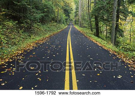 Road passing through a forest, Red River Gorge Geological Area, Daniel Boone National Forest, Kentucky, USA View Large Photo Image Stock Image - Road passing through a forest, Red River Gorge Geological Area, Daniel Boone National Forest, Kentucky, USA. Fotosearch