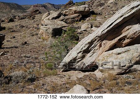 Stock Image - Rock formations on a landscape, Escalante Canyon, Colorado, USA. Fotosearch