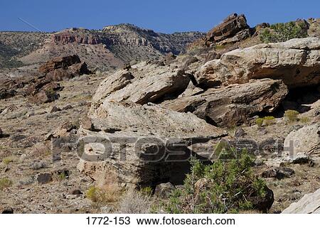 Stock Image - Rock formations on a landscape, Escalante Canyon, Colorado, USA. Fotosearch