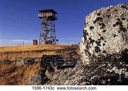 Rock with a lookout tower in the background, South Baldy Lookout, Colville National Forest, Washington State, USA View Large Photo Image Stock Image - Rock with a lookout tower in the background, South Baldy Lookout, Colville National Forest, Washington State, USA. Fotosearch