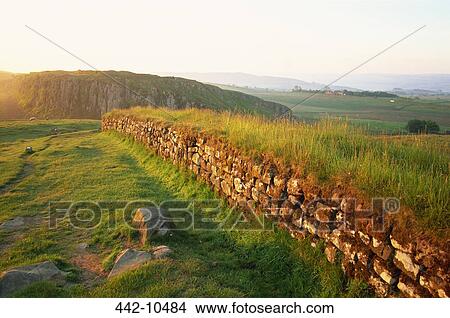 Ruins of a stone wall in a field, Hadrian's Wall, Northumbria, England View Large Photo Image Picture - Ruins of a stone wall in a field, Hadrian's Wall, Northumbria, England. Fotosearch