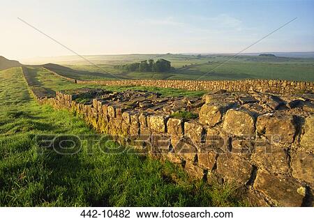 Ruins of a stone wall in a field, Hadrian's Wall, Northumbria, England View Large Photo Image Stock Image - Ruins of a stone wall in a field, Hadrian's Wall, Northumbria, England. Fotosearch