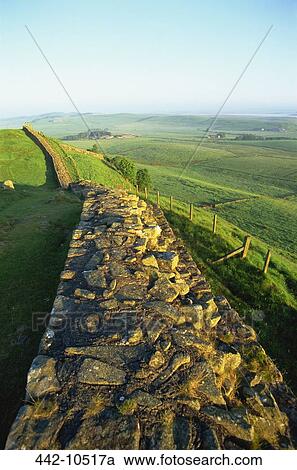Ruins of a stone wall in a field, Hadrian's Wall, Northumbria, England View Large Photo Image Stock Image - Ruins of a stone wall in a field, Hadrian's Wall, Northumbria, England. Fotosearch
