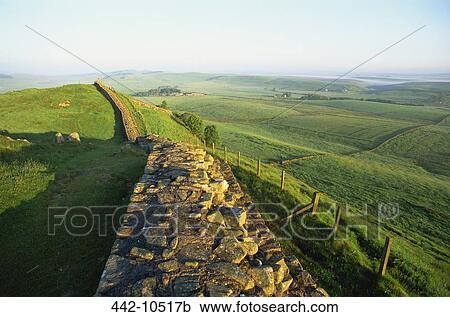 Ruins of a stone wall in a field, Hadrian's Wall, Northumbria, England View Large Photo Image Stock Image - Ruins of a stone wall in a field, Hadrian's Wall, Northumbria, England. Fotosearch