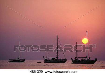 Silhouette of boats in the sea at sunset, Grand Cayman, Cayman Islands, USA View Large Photo Image Stock Photo - Silhouette of boats in the sea at sunset, Grand Cayman, Cayman Islands, USA. Fotosearch