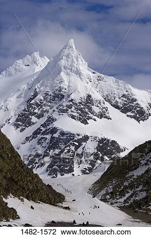 sky, snow, penguin, cloud, mountain, day, covering View Large Photo Image Stock Image - sky, snow, penguin, cloud, mountain, day, covering. Fotosearch