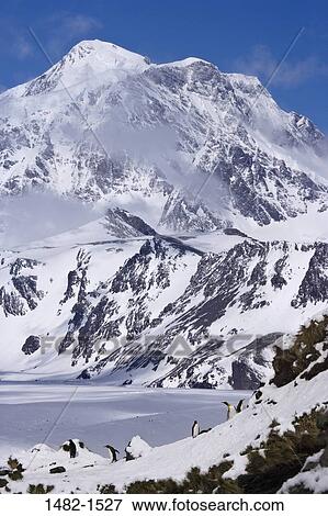 sky, snow, penguin, cloud, mountain, bird, day View Large Photo Image Stock Photo - sky, snow, penguin, cloud, mountain, bird, day. Fotosearch