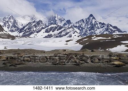 sky, snow, water, cloud, seal, sea, ocean View Large Photo Image Stock Image - sky, snow, water, cloud, seal, sea, ocean. Fotosearch