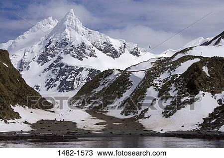 sky, snow, water, penguin, cloud, sea, mountain View Large Photo Image Stock Image - sky, snow, water, penguin, cloud, sea, mountain. Fotosearch