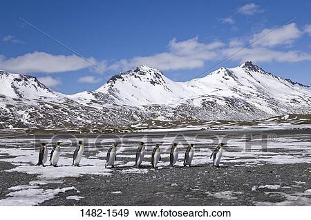 Stock Photo - sky, snow, water, penguin, cloud, sea, mountain. Fotosearch