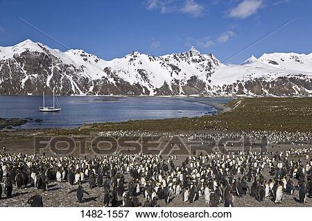 sky, snow, water, penguin, cloud, sea, mountain View Large Photo Image Stock Photo - sky, snow, water, penguin, cloud, sea, mountain. Fotosearch