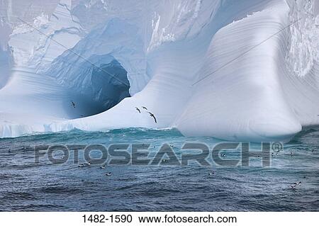 sky, white, water, cloud, sea, ocean, bird View Large Photo Image Stock Image - sky, white, water, cloud, sea, ocean, bird. Fotosearch