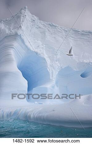 sky, white, water, cloud, sea, ocean, bird View Large Photo Image Stock Image - sky, white, water, cloud, sea, ocean, bird. Fotosearch