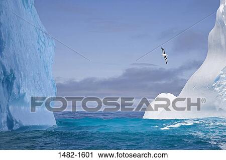 sky, white, water, cloud, sea, ocean, bird View Large Photo Image Stock Image - sky, white, water, cloud, sea, ocean, bird. Fotosearch