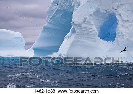 sky, white, water, cloud, sea, ocean, bird View Large Photo Image Stock Photo - sky, white, water, cloud, sea, ocean, bird. Fotosearch