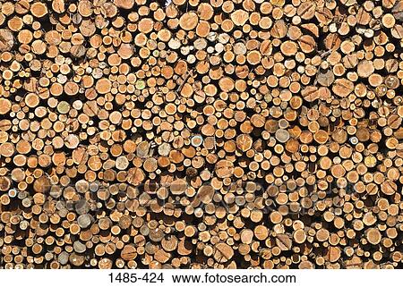 Stack of logs, California, USA View Large Photo Image Picture - Stack of logs, California, USA. Fotosearch