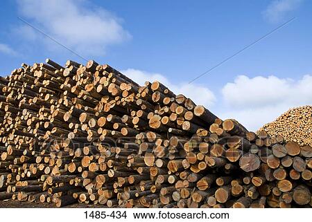 Stack of logs in a lumberyard, California, USA View Large Photo Image Picture - Stack of logs in a lumberyard, California, USA. Fotosearch