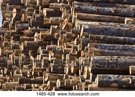 Stack of logs in a lumberyard, California, USA View Large Photo Image Stock Photo - Stack of logs in a lumberyard, California, USA. Fotosearch