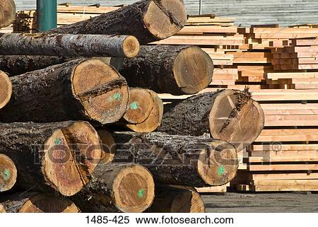 Stack of logs in a lumberyard, California, USA View Large Photo Image Stock Photography - Stack of logs in a lumberyard, California, USA. Fotosearch