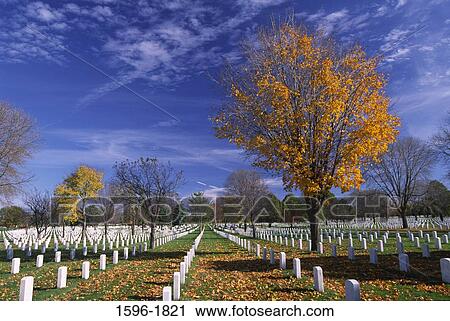 Stock Image - Tombstones in a cemetery, Fort Snelling National Cemetery, Minneapolis, Hennepin County, Minnesota, USA. Fotosearch