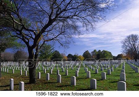 Tombstones in a cemetery, Fort Snelling National Cemetery, Minneapolis, Hennepin County, Minnesota, USA View Large Photo Image Stock Image - Tombstones in a cemetery, Fort Snelling National Cemetery, Minneapolis, Hennepin County, Minnesota, USA. Fotosearch