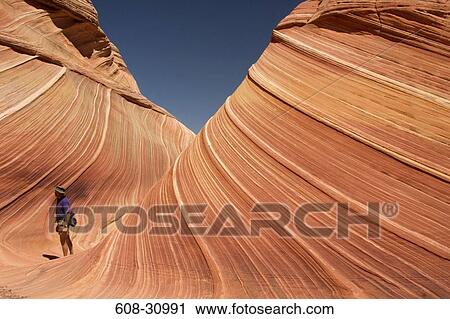 Stock Image - Tourist looking at the wavy pattern on rock formations, Coyote Buttes, Paria Canyon Vermilion Cliffs Wilderness, Arizona, USA. Fotosearch