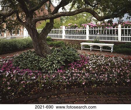 Tree surrounded by flowers in a garden, Prescott Gardens, Portsmouth, New Hampshire, USA View Large Photo Image Stock Image - Tree surrounded by flowers in a garden, Prescott Gardens, Portsmouth, New Hampshire, USA. Fotosearch