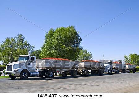 Trucks loaded with tomatoes, California, USA View Large Photo Image Stock Photo - Trucks loaded with tomatoes, California, USA. Fotosearch