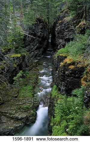 Water flowing through a forest, Sunrift Gorge, US Glacier National Park, Montana, USA View Large Photo Image Stock Image - Water flowing through a forest, Sunrift Gorge, US Glacier National Park, Montana, USA. Fotosearch