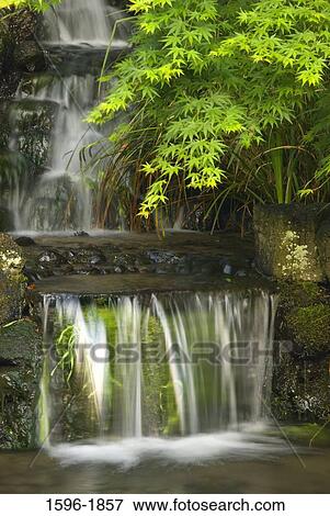 Waterfall in a forest, Crystal Springs Rhododendron Gardens, Portland, Oregon, USA View Large Photo Image Stock Photo - Waterfall in a forest, Crystal Springs Rhododendron Gardens, Portland, Oregon, USA. Fotosearch