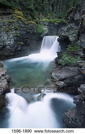 Waterfall in a forest, St. Mary's Falls, US Glacier National Park, Montana, USA View Large Photo Image Stock Image - Waterfall in a forest, St. Mary's Falls, US Glacier National Park, Montana, USA. Fotosearch