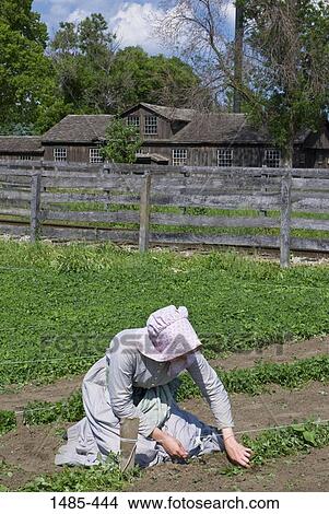 Woman gardening, Henry Ford Museum and Greenfield Village, Metro Detroit, Dearborn, Michigan, USA View Large Photo Image Picture - Woman gardening, Henry Ford Museum and Greenfield Village, Metro Detroit, Dearborn, Michigan, USA. Fotosearch