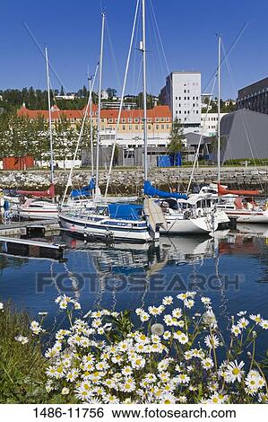 Yachts at a marina, Tromso, Toms County, Nord-Norge, Norway View Large Photo Image Stock Photograph - Yachts at a marina, Tromso, Toms County, Nord-Norge, Norway. Fotosearch