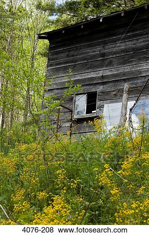 Abandoned barn in a field, North Carolina, USA View Large Photo Image Stock Photo - Abandoned barn in a field, North Carolina, USA. Fotosearch