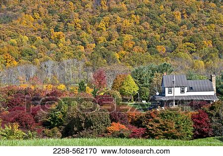 Autumn trees around a house View Large Photo Image Stock Image - Autumn trees around a house. Fotosearch