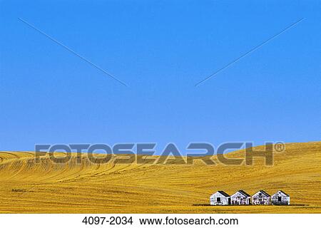 Barns in a farm, Alberta, Canada View Large Photo Image Picture - Barns in a farm, Alberta, Canada. Fotosearch