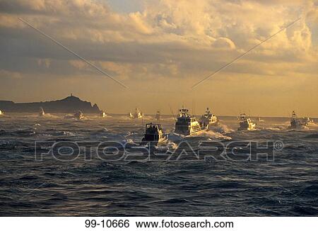 Stock Photograph - Boats participating in a tournament, Bisbee's Black And Blue Marlin Tournament, Cabo San Lucas, Baja California, Mexico. Fotosearch