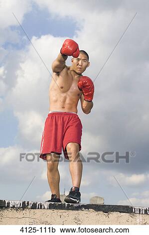 Boxer practicing on a rooftop, New York City, New York State, USA View Large Photo Image Stock Image - Boxer practicing on a rooftop, New York City, New York State, USA. Fotosearch