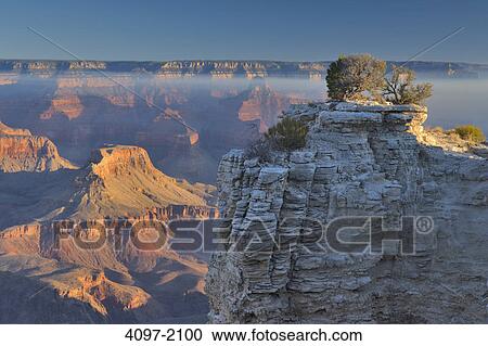 Stock Image - Canyon at sunrise, Yavapai Point, South Rim, Grand Canyon National Park, Arizona, USA. Fotosearch