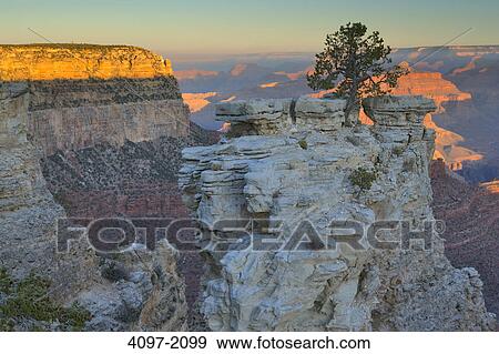 Canyon at sunrise, Yavapai Point, South Rim, Grand Canyon National Park, Arizona, USA View Large Photo Image Stock Photo - Canyon at sunrise, Yavapai Point, South Rim, Grand Canyon National Park, Arizona, USA. Fotosearch