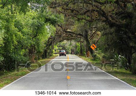 Picture - Car on a highway, Florida State Road 780, Sarasota County, Florida, USA. Fotosearch