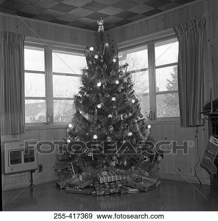 Christmas tree in the corner of living room View Large Photo Image Stock Photo - Christmas tree in the corner of living room. Fotosearch