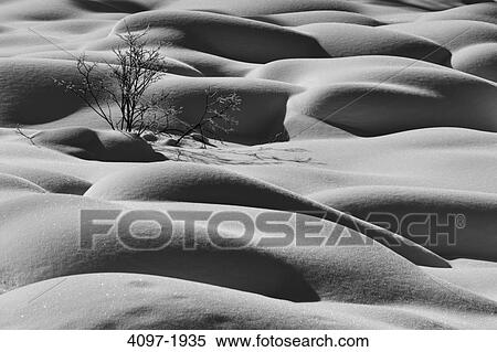 Stock Photography - Close-up of snow mounds, Jasper National Park, Alberta, Canada. Fotosearch