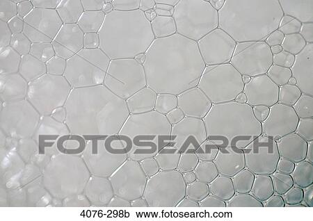 Close-up of soap suds in water View Large Photo Image Stock Image - Close-up of soap suds in water. Fotosearch